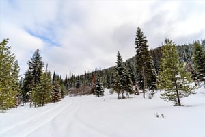 22065327
