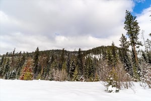 22065324