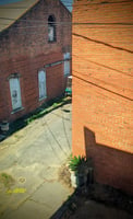 22066791