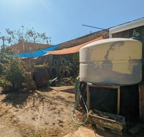 22066808