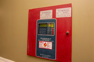 29635241