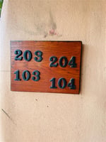 22090568