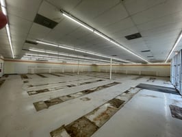 22214831