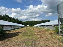22129271