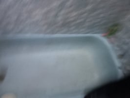 22162513