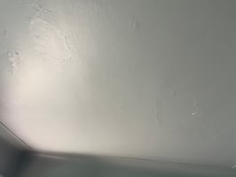 22162502