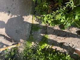 22162549