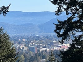 22809038