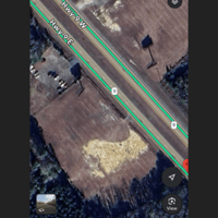 22175908