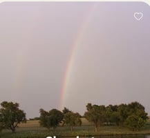 23907730