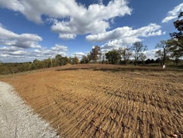 34003681