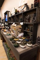 22205816