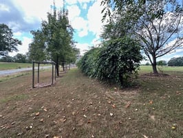 32416981