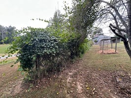 32416980