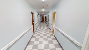 22209981