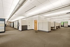 29499736