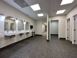 29499706