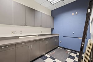 29499738