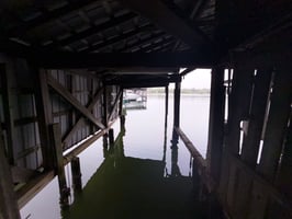 31342860
