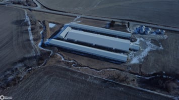 22274428