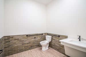29578066