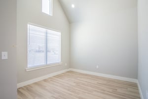 29578023