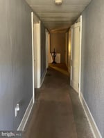 22294389