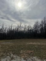 22296213