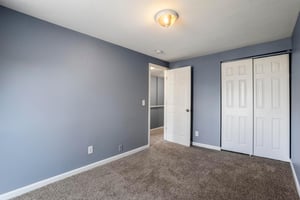 22296254