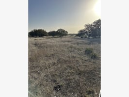 22305767