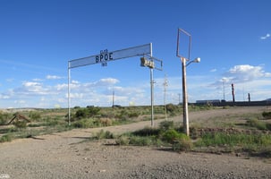 22306954