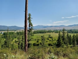 22328462