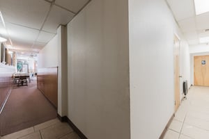 22330079