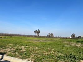10452875