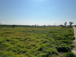 10452881
