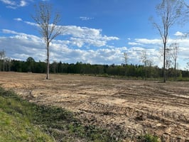 22448379
