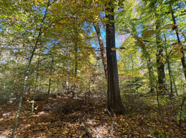 22453940
