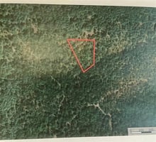 22454248