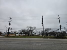 22455331