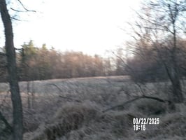 22461827