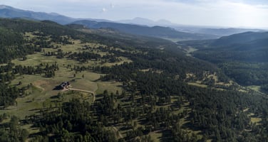 22469512