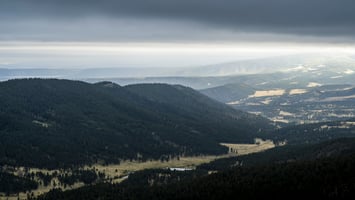 22469515