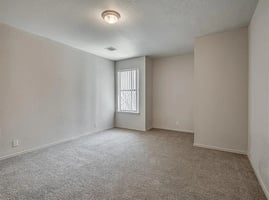 22541575