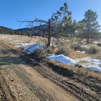 31286121