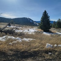 31286118