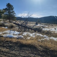 22492554