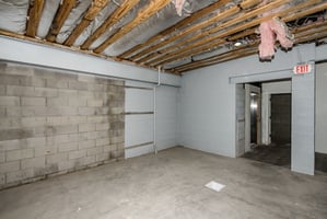 22500538