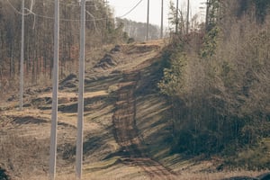 22501571