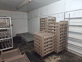 22506304