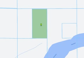 22506774
